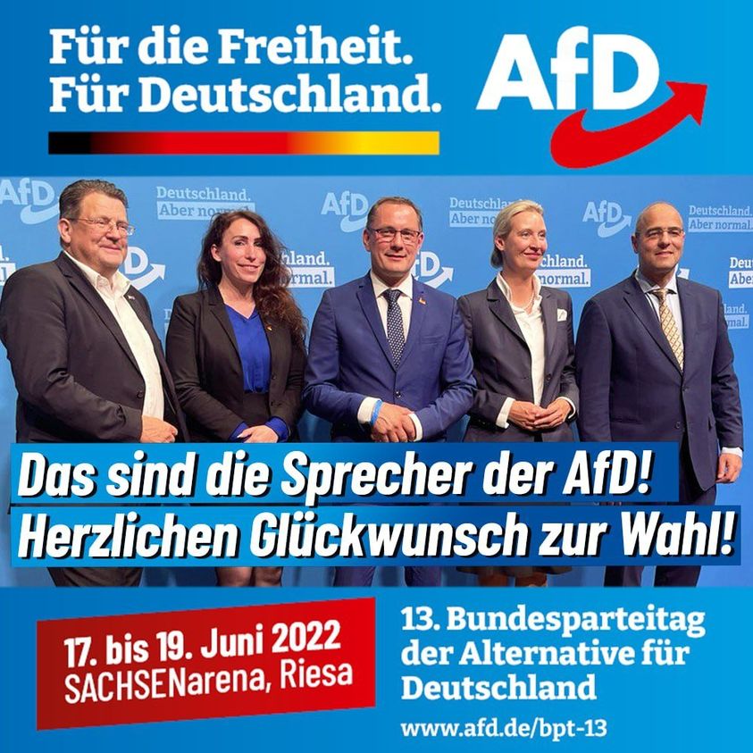 AfD-Parteitag wählt für die Partei einen neuen Vorstand – Rosenheim