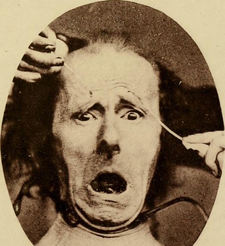 The_expression_of_the_emotions_in_man_and_animals_(1872)_(14785143685)