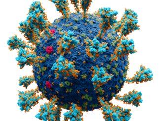 Quelle: Von Alexey Solodovnikov (Idea, Producer, CG, Editor), Valeria Arkhipova (Scientific Сonsultant) - Eigenes Werk. Scientific consultants:Nikitin N.A., Doctor of Biological Sciences, Department of Virology, Faculty of Biology, Lomonosov Moscow State University.Borisevich S.S. Candidate of Chemical Sciences, Specialist in Molecular Modeling of Viral Surface Proteins, Senior Researcher, Head of the "Quantum & Dynamics»,Laboratory of Chemical Physics, Ufa Institute of Chemistry RASArkhipova V.I., specialization in Fundamental and Applied chemistry, senior engineer, RNA Chemistry Laboratory, Institute of chemical biology and fundamental medicine SB RAS, CC BY-SA 4.0, https://commons.wikimedia.org/w/index.php?curid=104914011