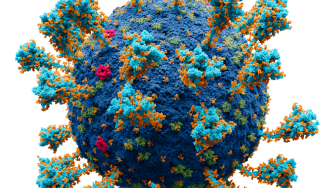 Quelle: Von Alexey Solodovnikov (Idea, Producer, CG, Editor), Valeria Arkhipova (Scientific Сonsultant) - Eigenes Werk. Scientific consultants:Nikitin N.A., Doctor of Biological Sciences, Department of Virology, Faculty of Biology, Lomonosov Moscow State University.Borisevich S.S. Candidate of Chemical Sciences, Specialist in Molecular Modeling of Viral Surface Proteins, Senior Researcher, Head of the "Quantum & Dynamics»,Laboratory of Chemical Physics, Ufa Institute of Chemistry RASArkhipova V.I., specialization in Fundamental and Applied chemistry, senior engineer, RNA Chemistry Laboratory, Institute of chemical biology and fundamental medicine SB RAS, CC BY-SA 4.0, https://commons.wikimedia.org/w/index.php?curid=104914011